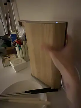 Etherealcat33's room