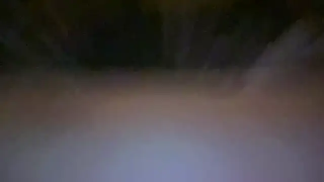 jitterbuggperfume webcam