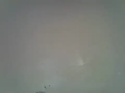 Rasta_tattooed webcam