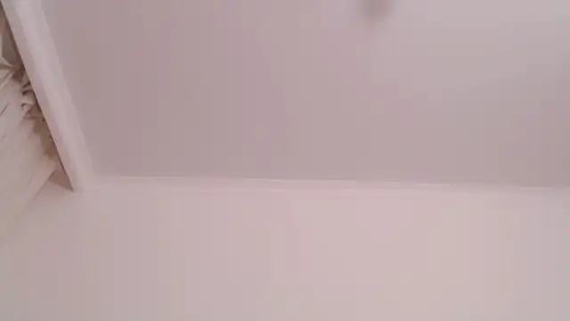 amelia_sunlight webcam