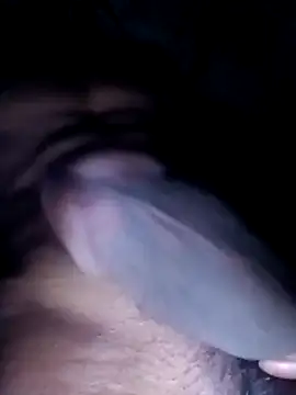 rocky_play_boy_ webcam