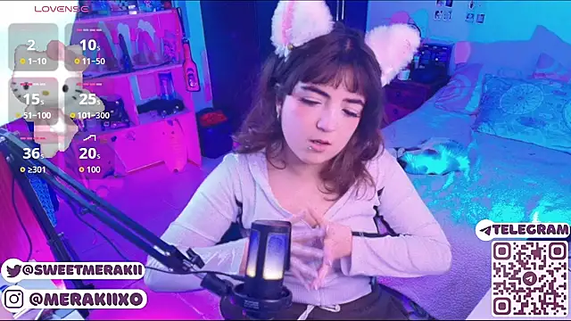 meraki_fraise webcam