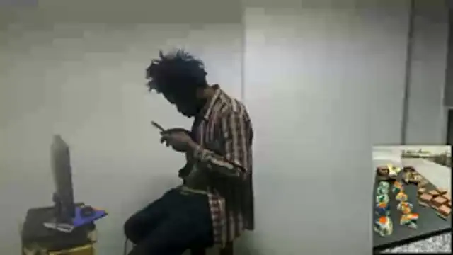 Mastertopdome webcam