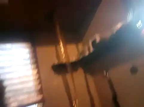 CocKtopus_prim3 webcam