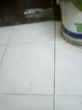 ConvoyedSubgroup webcam