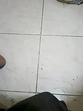 ConvoyedSubgroup webcam