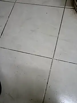 ConvoyedSubgroup webcam