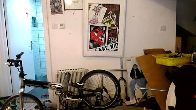 mista_sista_fista webcam