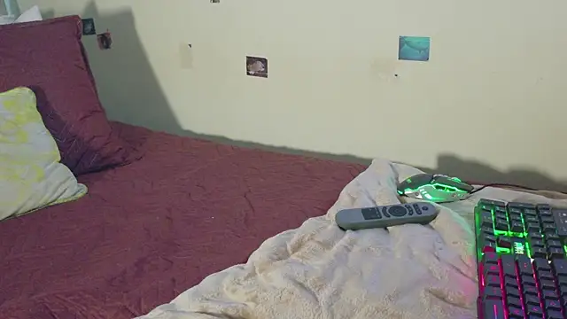 DannyPhantom555 webcam