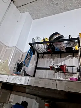 Backdoor_Newbie webcam