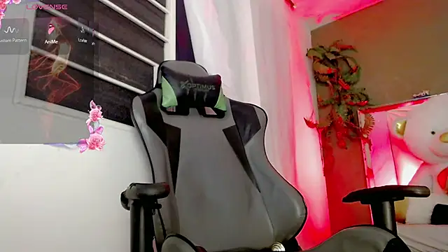 Top_and_bottom webcam