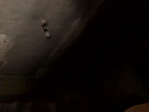 ChantalXOrchid webcam