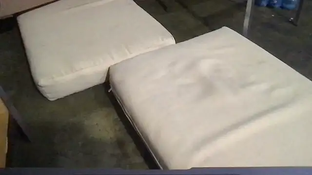 RODRI_POLLADURA webcam