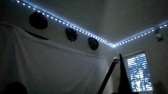 Triggerhappycj100 webcam