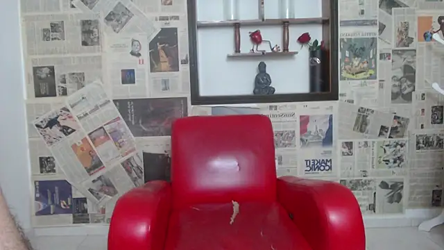 sebastian_rougue webcam