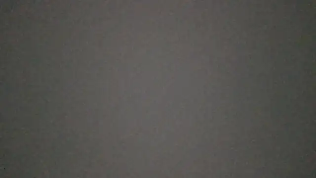 RODRI_POLLADURA webcam