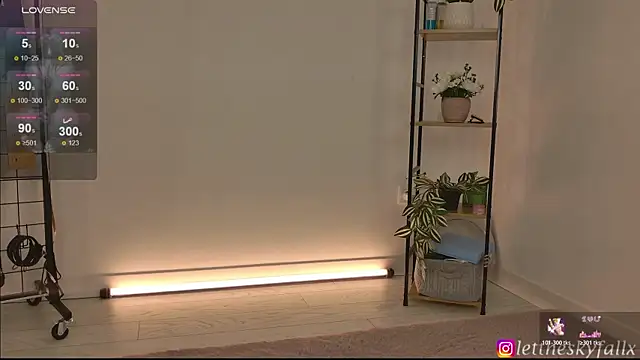 lettheskyfallx webcam
