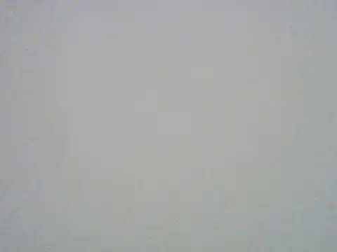 humanRobotSaki webcam