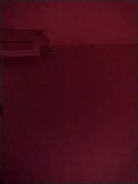 RAFAELQUINTEROSCAVALHEI webcam