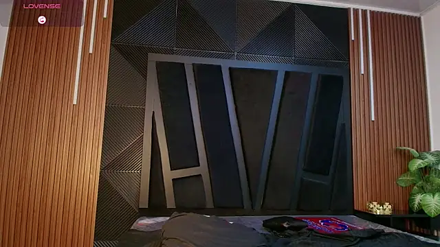 Oliver_Laurent_ webcam