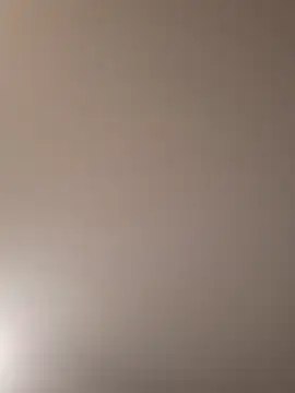 InferredPloce webcam