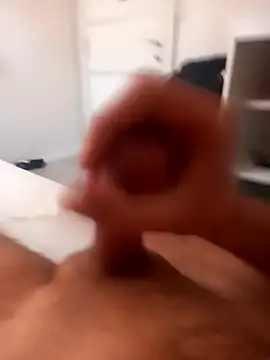 InferredPloce webcam