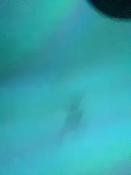 Maraia_Violetta webcam