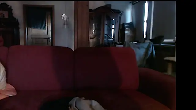 ToyRider69_official webcam