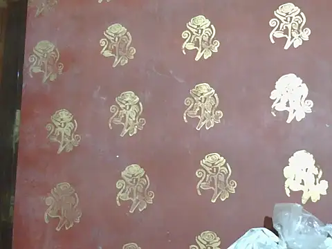 Stubborndesiboy webcam