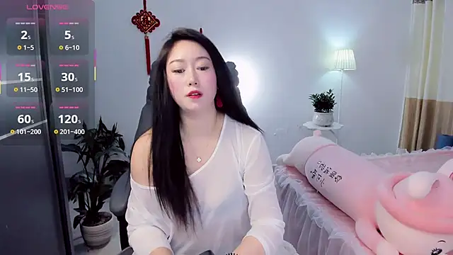 Wan-Yun-520 webcam
