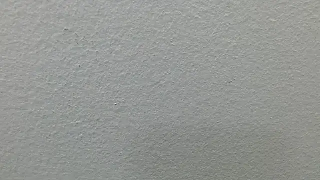 CaballeroNocturno_ webcam