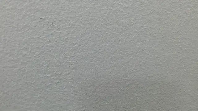 CaballeroNocturno_ webcam