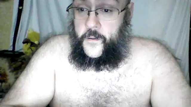 BriTheTopBear webcam