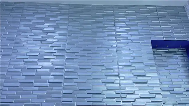 SeraphynLuxora webcam