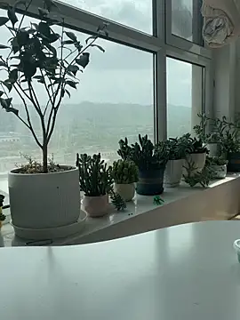 diudiubaobei_ webcam