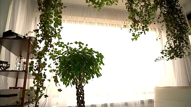 TheMaddisonShow_ webcam