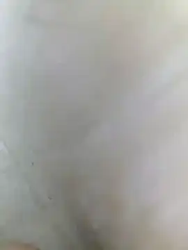 polla_large_active webcam