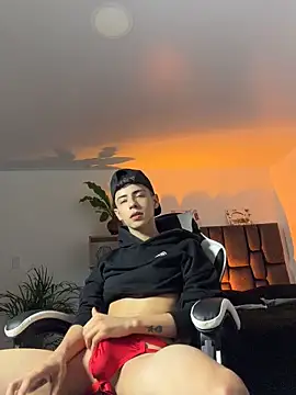 SebastianReed_ webcam