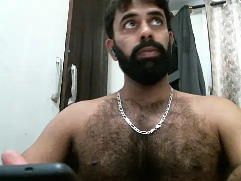 indianhairybull webcam