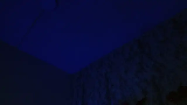 Preview of alexafontana