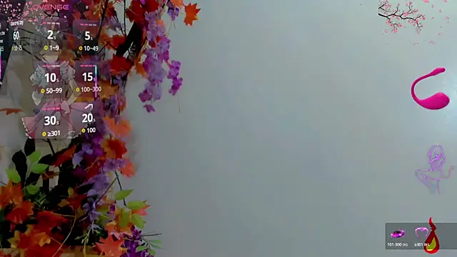 britanny_noroeste webcam