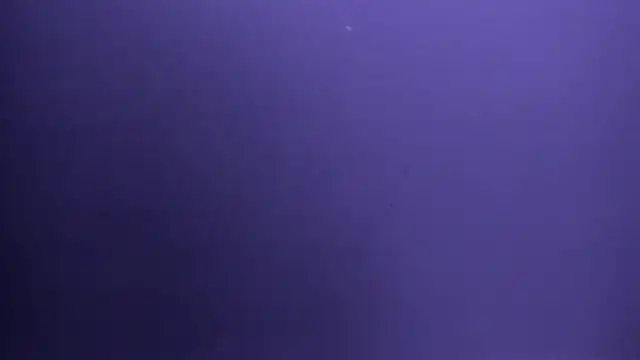 Charlotte_Bms7 webcam