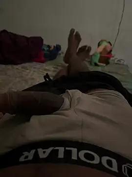 meralund9inch webcam