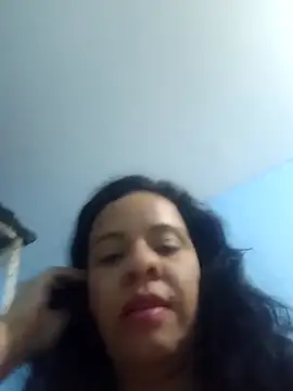 lapatronav2026 webcam