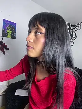 Nubeseliminadas webcam