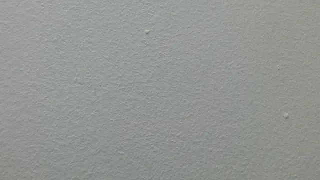 CaballeroNocturno_ webcam