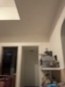 Pumpkin_bunny webcam