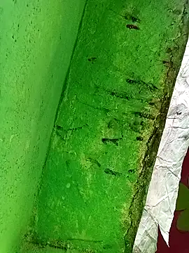 Riyakumari_hot66 webcam