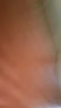 Shemalefucker79 webcam