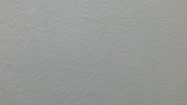 CaballeroNocturno_ webcam